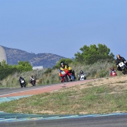Calafat 2014