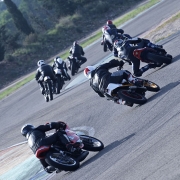 Calafat 2014